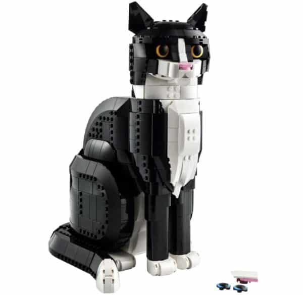 Tuxedo Cat | £72 Cash alternative 