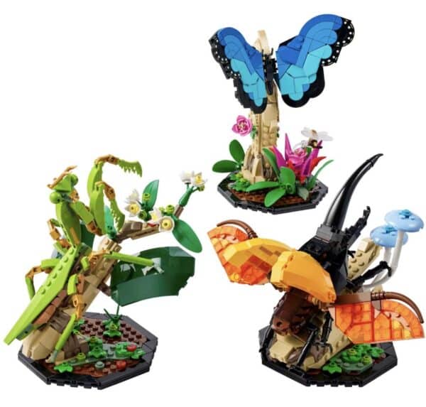The Insect Collection | £56 Cash Alternative 