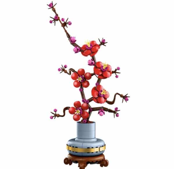 Plum Blossom | £20 cash alternative 