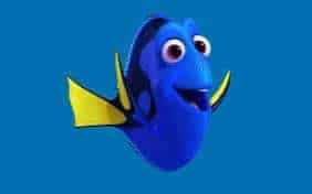 Dory £200