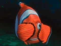 Marlin £60