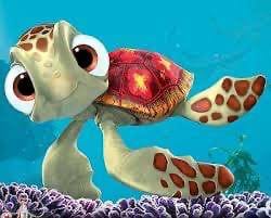 Squirt £50